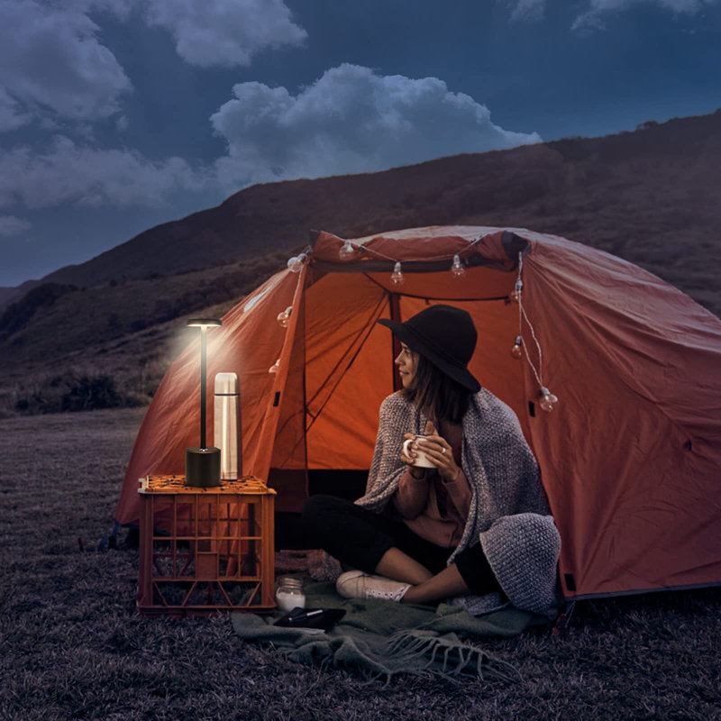 Black Table Lamp,Cordless Table Lamp,Portable LED Desk Lamp