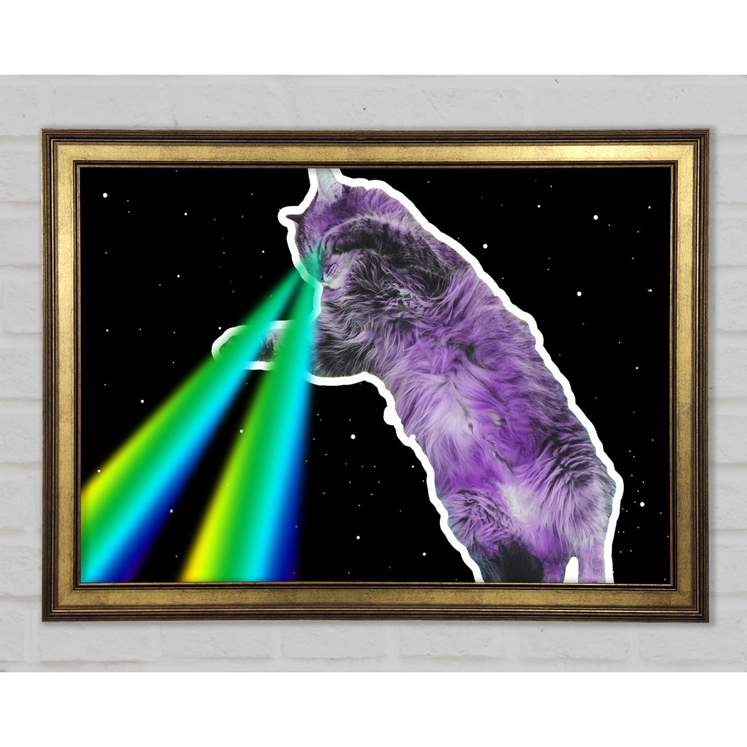 Katze Lazer Beam Space - Einzelner Bilderrahmen Kunstdrucke