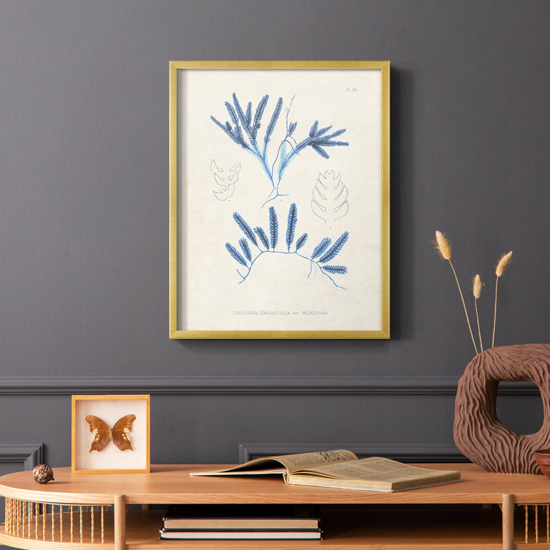 Blue Marine Algae I, reproduction encadrée - bois massif, Or, H 10 po x l 8 po