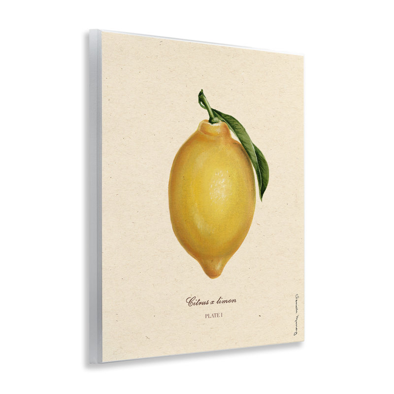 Lemon Fruit Portrait Wall Plaque, design by Danielle Murray