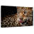 Brampt Licking Leopard-107719700