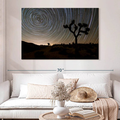 Harnek Star Trails à Joshua Tree