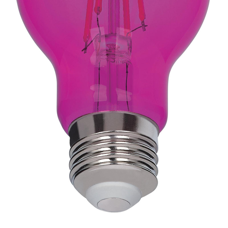 Ampoules DEL à filament omnidirectionnel A19 roses, 4,5 W (équivalent 40 W), culot moyen (E26), lot de 2, Pink, Pack of 2