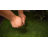 Low Voltage Solar Powered Integrated LED Metal Pathway Light Pack