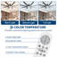 Ceiling Fan-1629712561