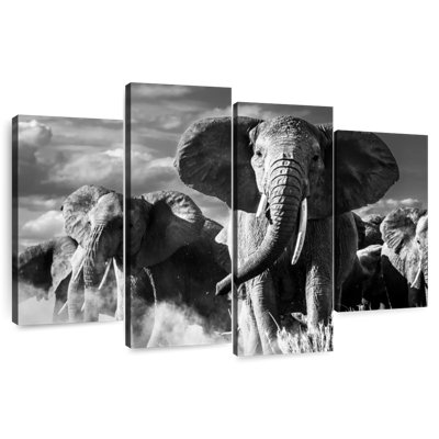 Brampt Elephant Sunset March
