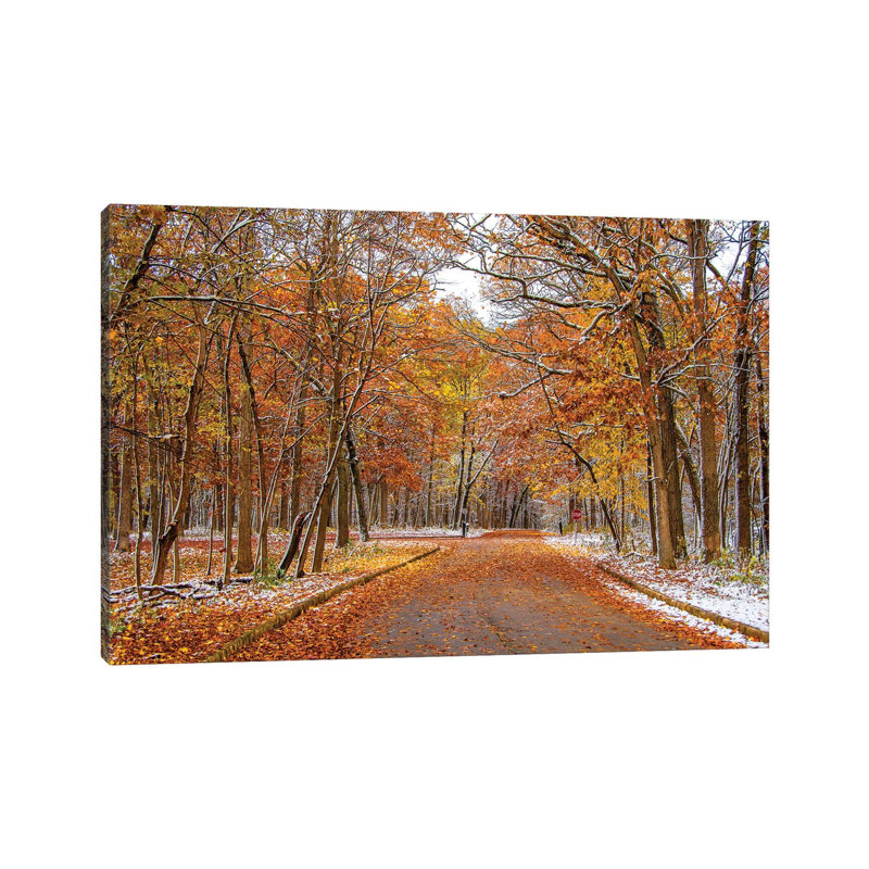 Colourful Wood by Nejdet Duzen - Wrapped Canvas Gallery-Wrapped Canvas Giclée, 66.04 cm H x 45.72 cm W x 3.175 cm D