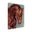 «Paint By Number Horse II» par Jennifer Paxton Parker, art sur toile-2021310631