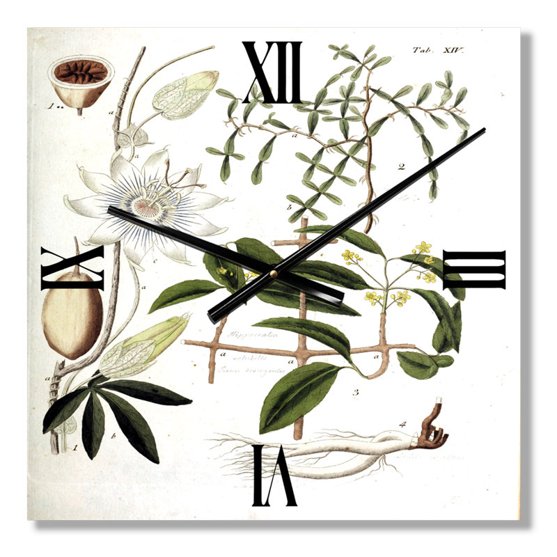 Horloge murale rétro Vintage Plant Life IV - Farmhouse, Très grand