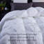 Winter Duvet