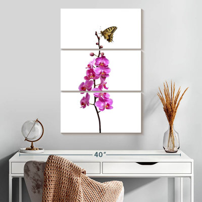 Butterfly On Orchid Stalk