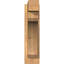 Sapin Douglas-109290146-112789701