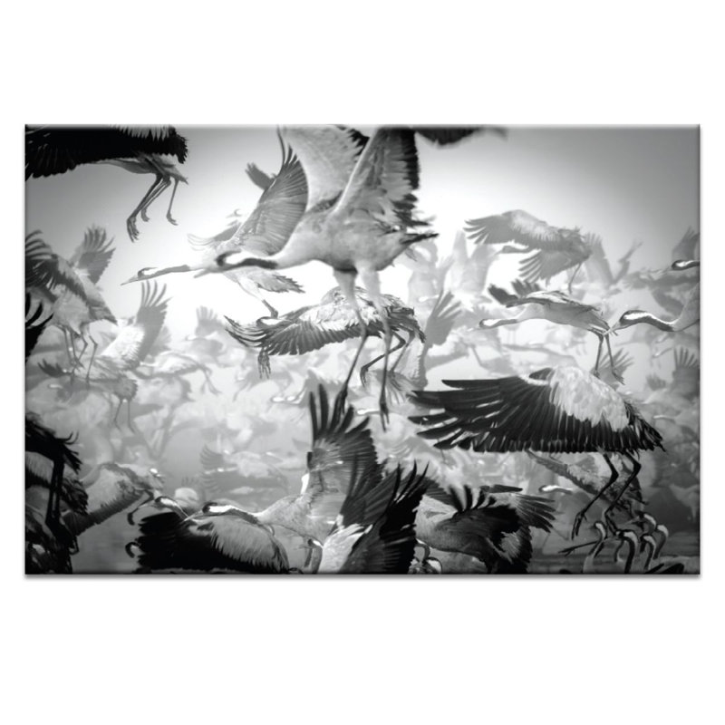 Photographers Lane - Wrapped Canvas Print, 76cm H x 51cm W