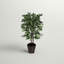 Ficus artificiel 48 po dans un panier