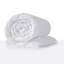 Hollowfibre 100% Polyester Duvet-741827360-772433067