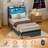 Twin Bed Frame with 2-Tier Storage Headboard, Metal Platform Bed Frame with 2 Storage Drawers, Built in Charging Station & LED, Gray-584411240-584411241