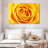 Harnek Lemony Rose-108701546