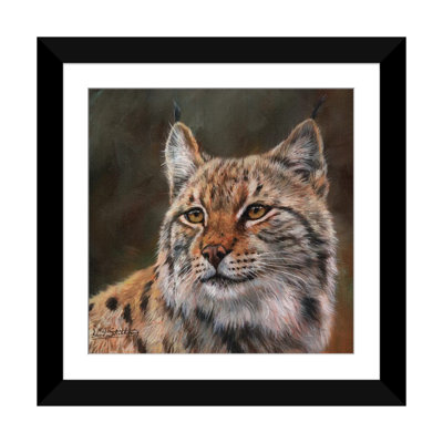 " Eurasian Lynx " by David Stribbling