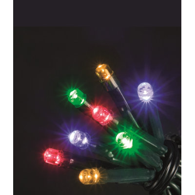 4193 cm Twinkle LED Indoor / Outdoor String Lights