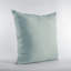 Coussin Plutus-62524240-62524225