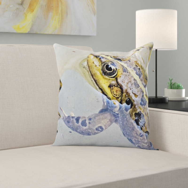 Coussin de grenouille