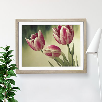Spectacular Tulip Flowers - Framed Print