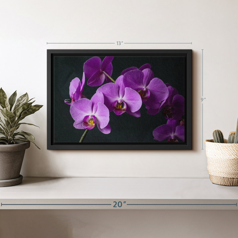 Impression sur toile Fancy Purple Orchids, H 9 po x l 13 po