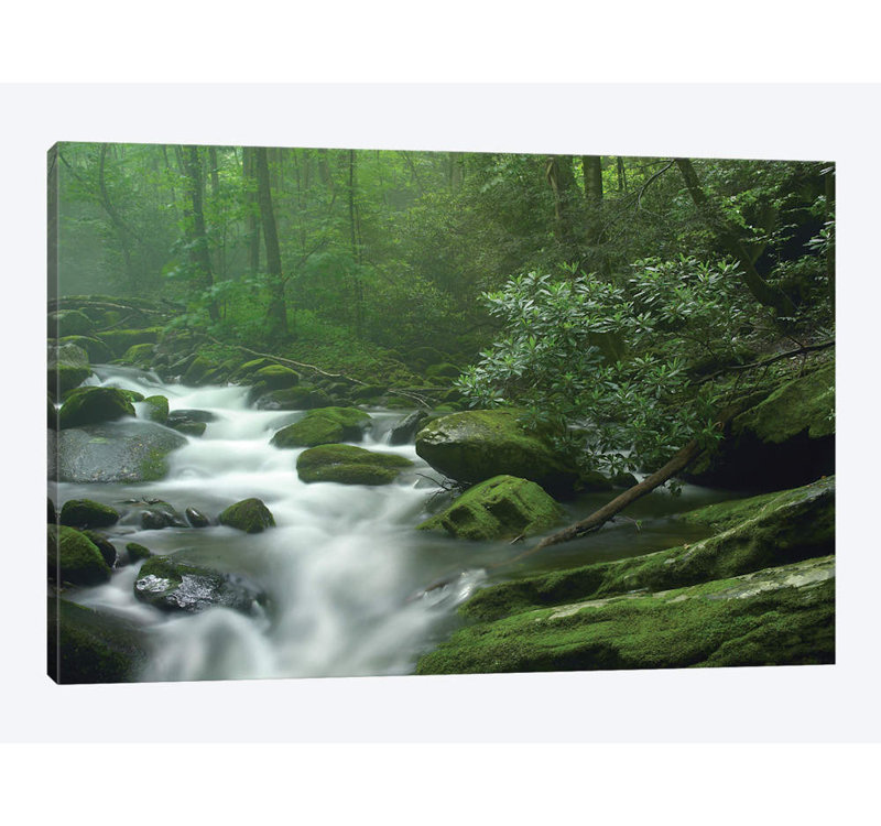 Reproduction de photo sur toile, H 8 po x l 12 po x P 0,75 po