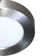 Evadale LED Flush Mount