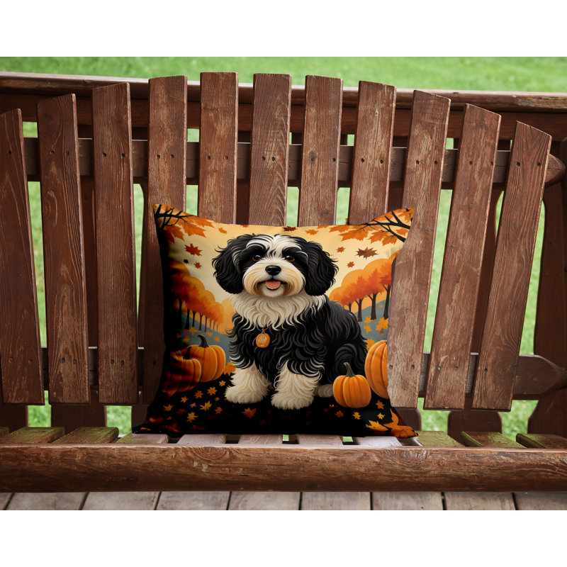Coussin Havanais, 14 po x 14 po