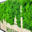 Washington Moss City Silhouette, art mural en métal