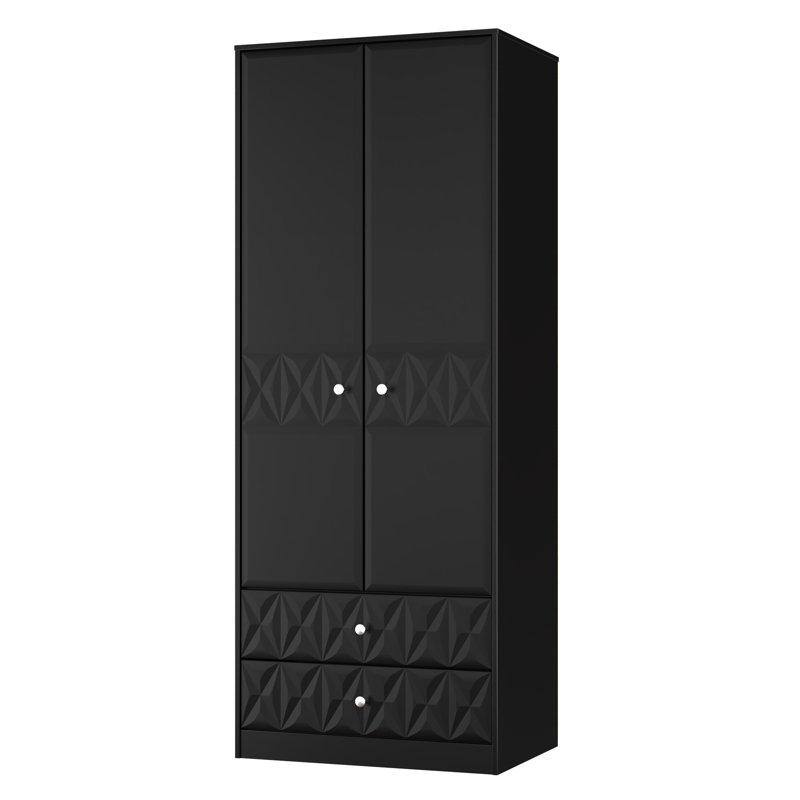 Taiylor 2 Door Robe 2 Drawer Robe, Black
