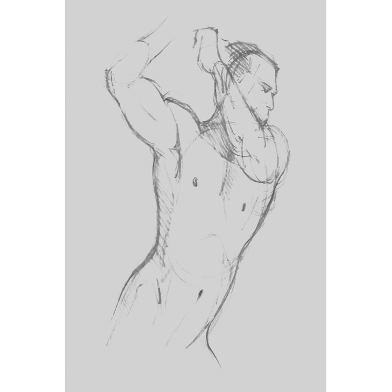 Male Torso Sketch I by Jacob Green - Drawing Print, 122 cm H x 81 cm W, Black Floater Framed