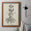 Toile encadrée de qualité supérieure antique noir et blanc botanique III - prête à être accrochée-127777232