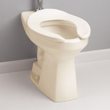 Carrolton 1.28 GPF Elongated Flushometer Toilet with Glazed Surface (Seat Not Included), Bone