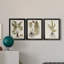 Fern Botanical IV - Ensemble de 3 peintures sur toile encadrées-131489271-131489276