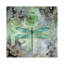 Dragonfly V par Stephanie Law - reproduction d'art-52462816-52462820