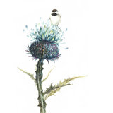 Natural I Print by Beverly Fuller
