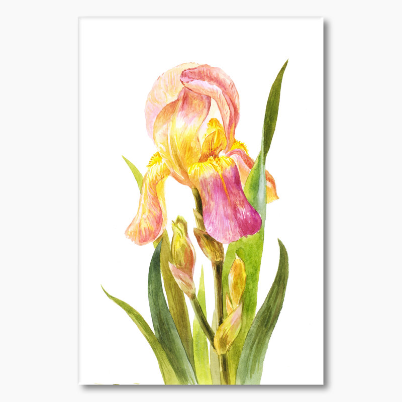 Rose et jaune fleur d'iris - Art mural sur toile traditionnel, H 12 po x l 8 po x P 1 po, Toile tendue