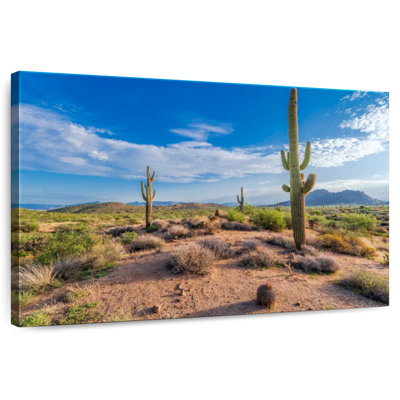 Saguaro Cactus Landscape