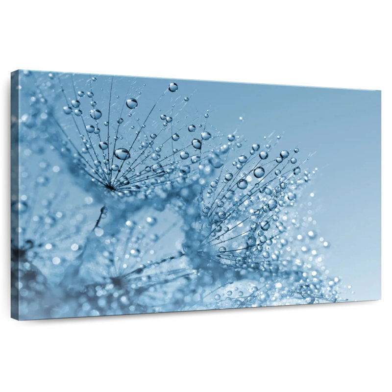 Pissenlit Harnek Dewy, H 32 po x l 48 po