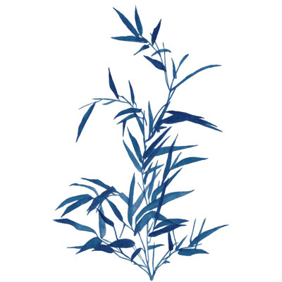 Indigo botanique II