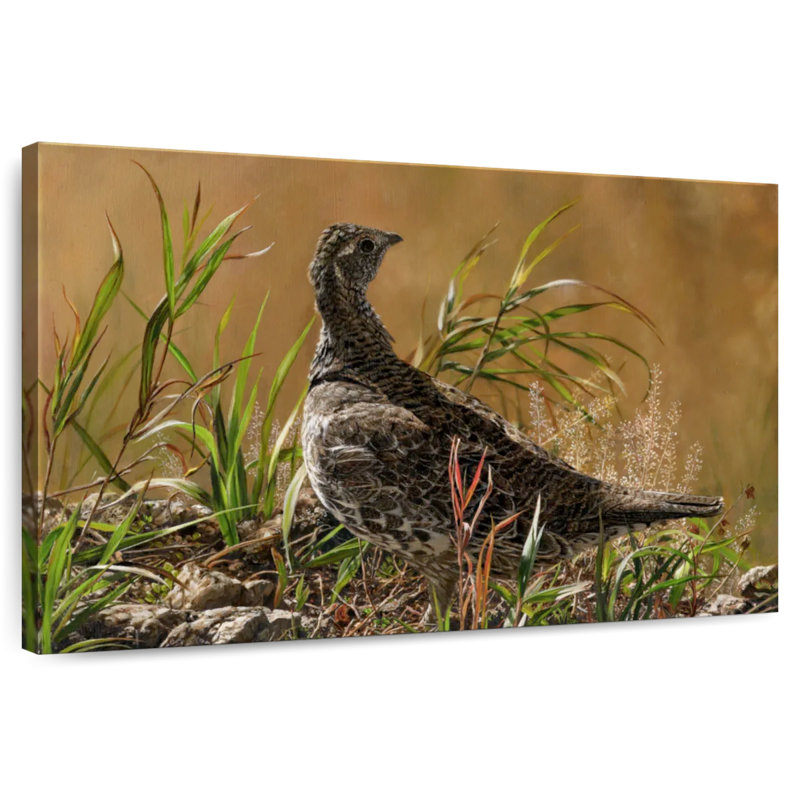 Female Blue Grouse, 8" H x 12" W