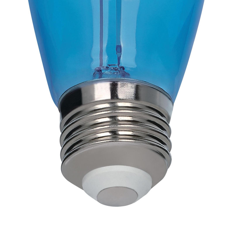 Ampoules DEL à filament omnidirectionnel bleu S14, 2 W (équivalent 40 W), culot moyen (E26), lot de 2, Blue, Pack of 2