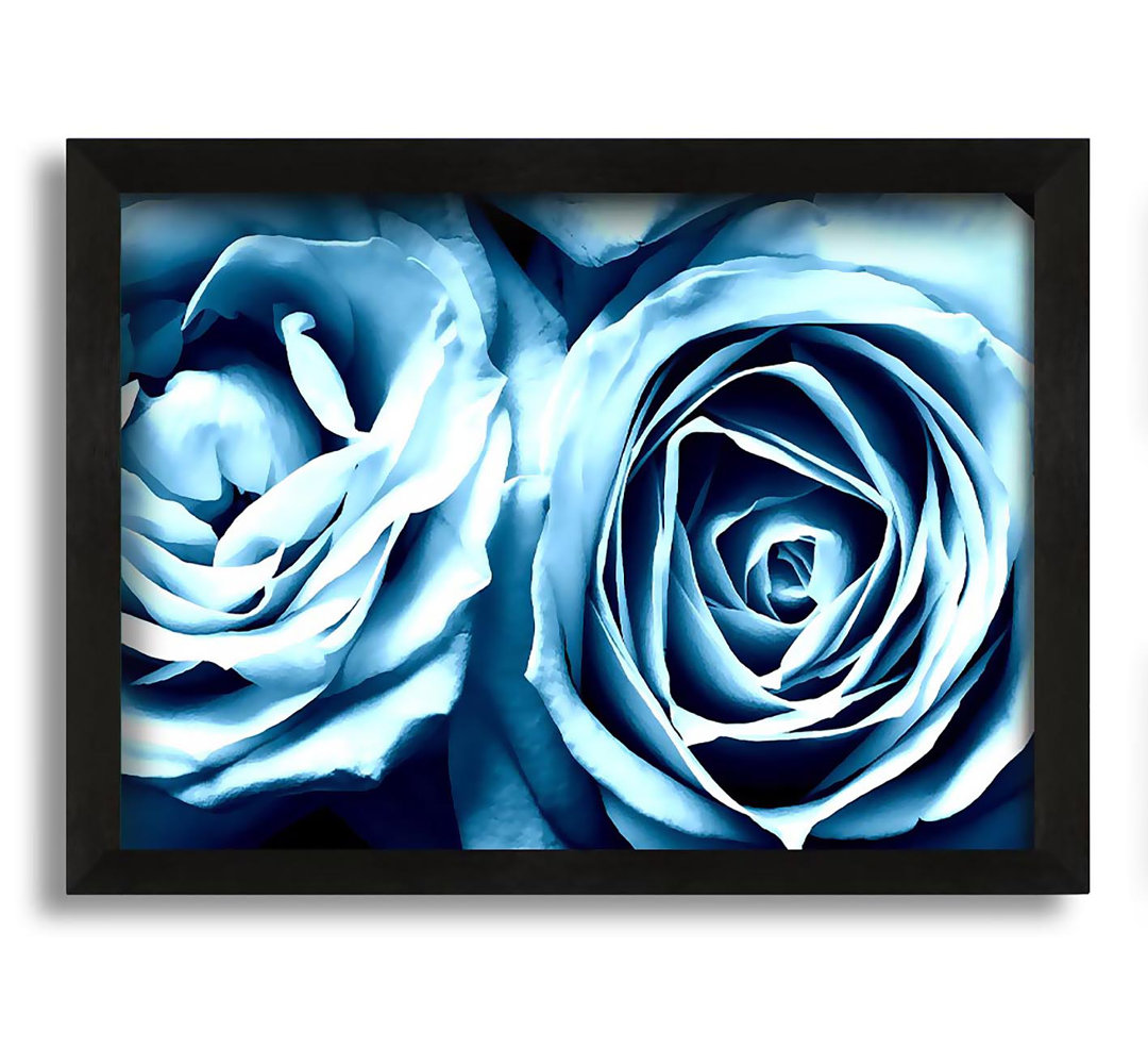 Twin Blue Roses - Einzelner Bilderrahmen Kunstdrucke