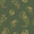 Algae