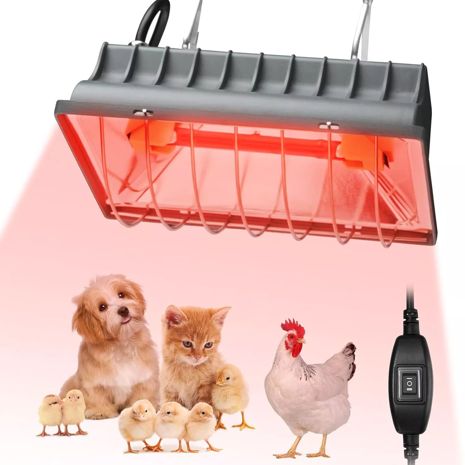 Costyle Chicken Coop Heat Lamp For Dog Kennel Cat Bed Reptiles 250w Adjustable Heat Lamp Wayfair
