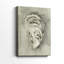 Neutral Oyster Shell II -Gallery Wrapped Cavas-108824589