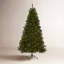 North Valley 72" Green Spruce Artificial Christmas Tree with 400 White Clear Lights with Tree Stand-743353198