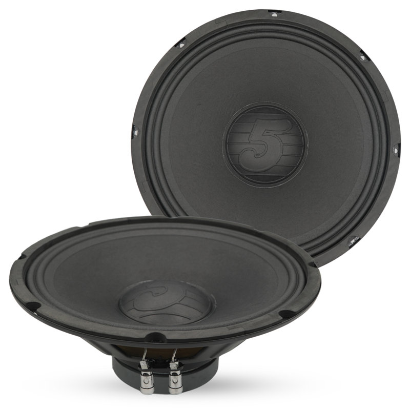 5 haut-parleurs 12 pouces avec haut-parleur de voiture et système de haut-parleur de remplacement de 200 W avec haut-parleur 4 Ohms